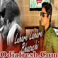 Luhare Lahure Bhasuchi A Sad Song